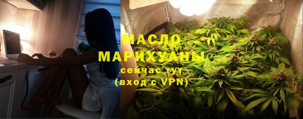 сатива Беломорск