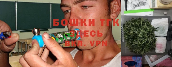 гашик Богородск